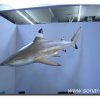 Dortmund2011_001